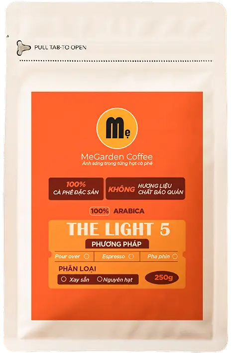 The Light 5: 100% Arabica