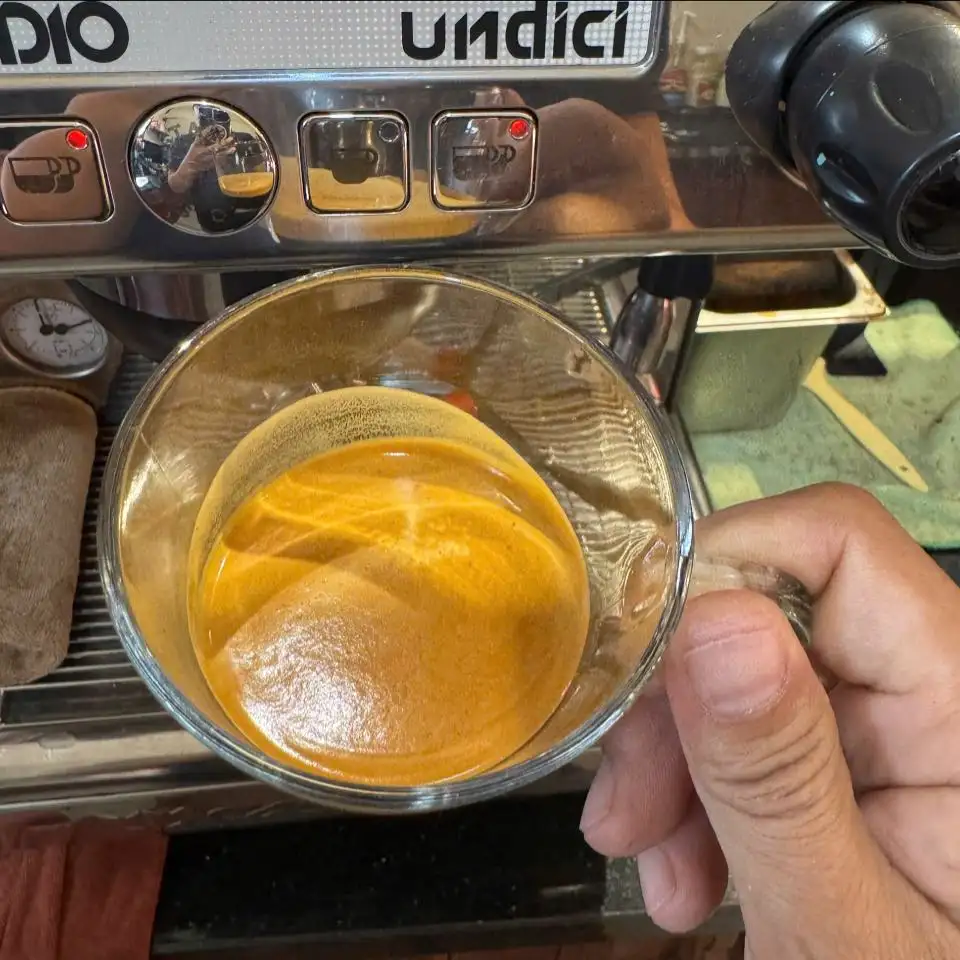 Fine Robusta ELIM - 100% Fine Robusta 86.08đ CQI - Ảnh 3